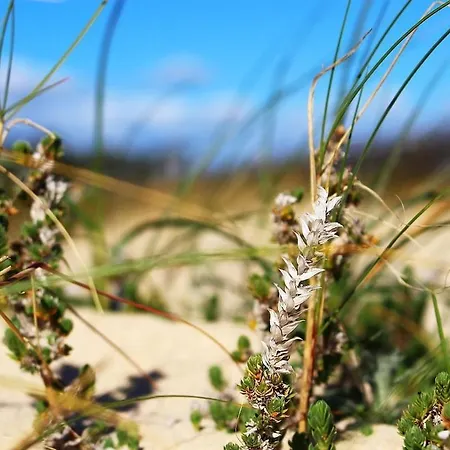 아파트 Relax&roll - *